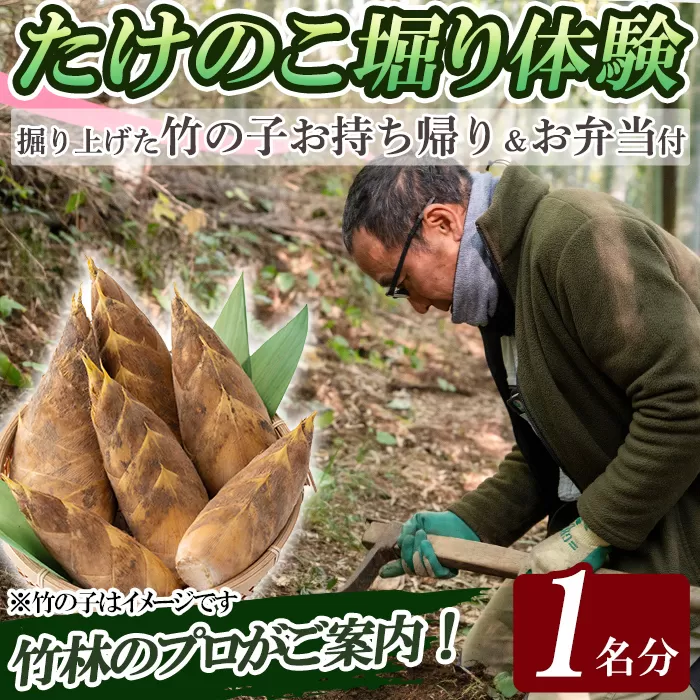 a931 [先行予約受付中!2027年3月中旬〜4月中旬まで体験分]竹の子堀り体験(1名様:昼食・タケノコ5kgお持ち帰り付)[夢竺山株式会社]姶良市 たけのこ タケノコ 筍 竹の子 体験