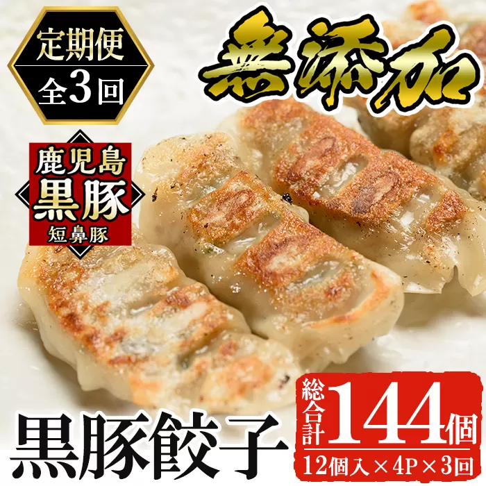 a880 《定期便全3回》鹿児島黒豚「短鼻豚」無添加餃子セット計144個(48個×3回)【鹿児島ますや】姶良市 ギョーザ 餃子 無添加 惣菜 おかず おつまみ 冷凍 黒豚 国産野菜 ぎょうざ