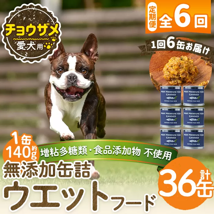 a1067-E 【6回定期便】＜増粘多糖類・食品添加物不使用＞愛犬用無添加缶詰 チョウザメ ウェットフード6缶×6回(1袋約140g・合計約5.04kg)【Nフードサービス】姶良市 チョウザメ ペット おやつ ごはん 間食 ご褒美 ペット関係 常温 常温保存