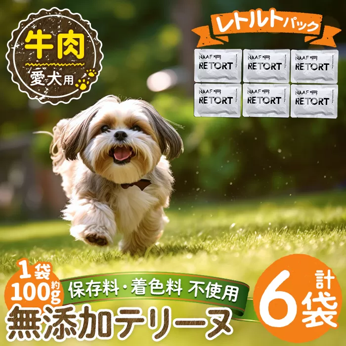 a1084-C ＜保存料・着色料 不使用＞愛犬用無添加テリーヌ レトルトパック 牛テリーヌ6袋(1袋約100g・合計約600g)【Nフードサービス】姶良市 牛 テリーヌ 犬 ドッグ ペット フード エサ レトルト おやつ ごはん ご飯 間食 ご褒美