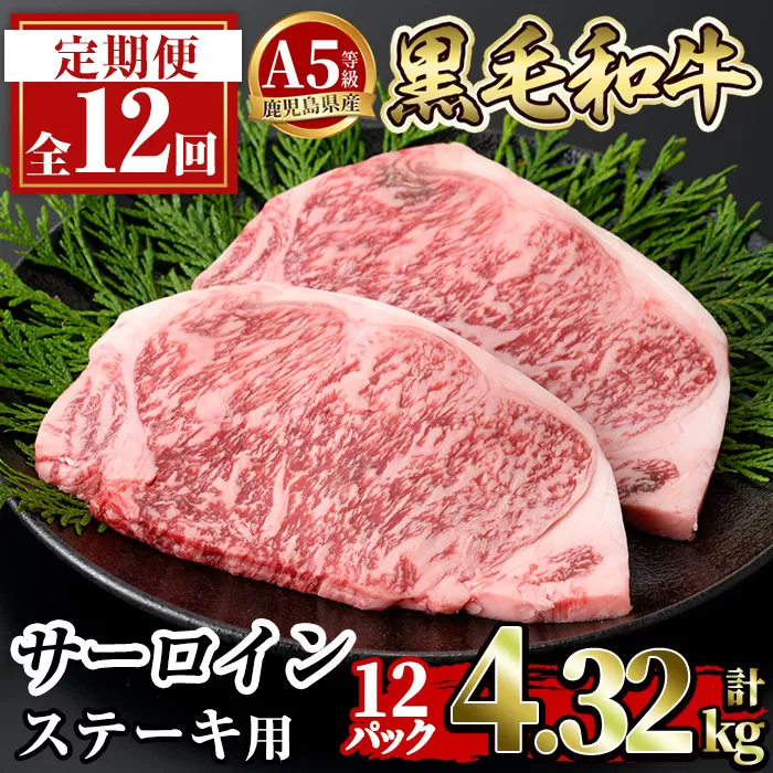 a853-G 【12回定期便】≪A5等級≫鹿児島県産黒毛和牛サーロイン2枚入り(12P計4.32kg) ギフト箱入り【水迫畜産】姶良市 国産 牛肉 ステーキ ステーキ肉 和牛