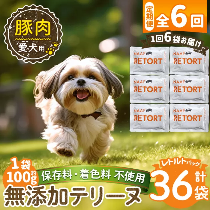 a1085-H 【6回定期便】＜保存料・着色料 不使用＞愛犬用無添加テリーヌ レトルトパック 豚テリーヌ6袋×6回(1袋約100g・合計約3.6kg)【Nフードサービス】姶良市 豚 テリーヌ 犬 ドッグ ペット フード エサ レトルト おやつ ごはん ご飯 間食 ご褒美