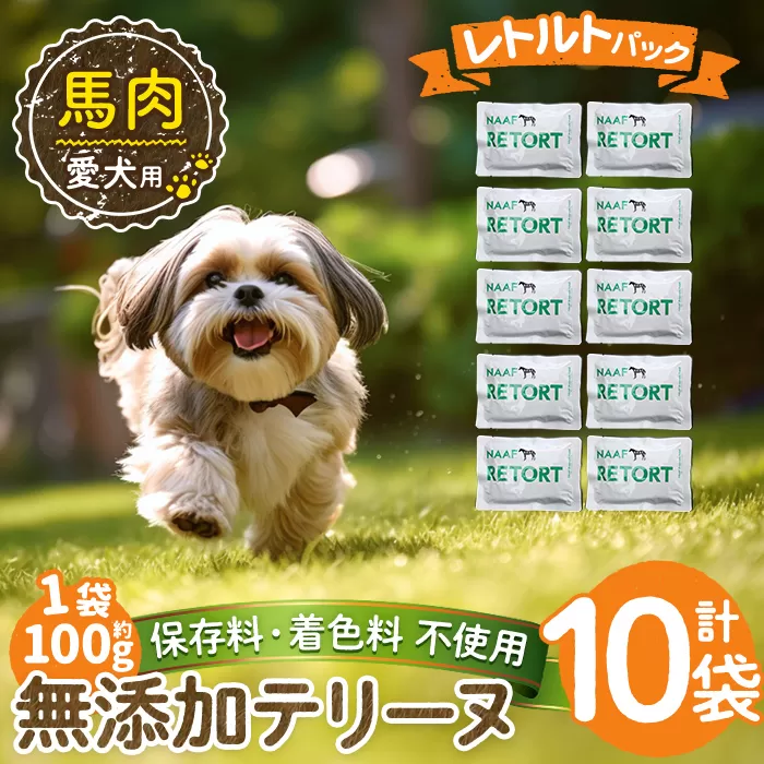 a1087-D ＜保存料・着色料 不使用＞愛犬用無添加テリーヌ レトルトパック 馬テリーヌ10袋(1袋約100g・合計約1kg)【Nフードサービス】姶良市 馬 テリーヌ 犬 ドッグ ペット フード エサ レトルト おやつ ごはん ご飯 間食 ご褒美