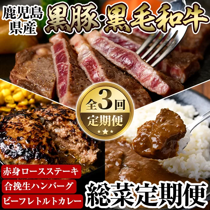 a838 ≪数量限定・定期便全3回≫黒豚・和牛の総菜定期便！計2.7kg超！和牛赤身ロースステーキ(180g×2枚)・黒毛和牛＆黒豚の合挽生ハンバーグ(150g×8個)・黒毛和牛さつまビーフレトルトカレー(200g×6P)【水迫畜産】国産 鹿児島産 お肉 肉 牛肉 豚肉 ステーキ 冷凍ハンバーグ カレー 総菜