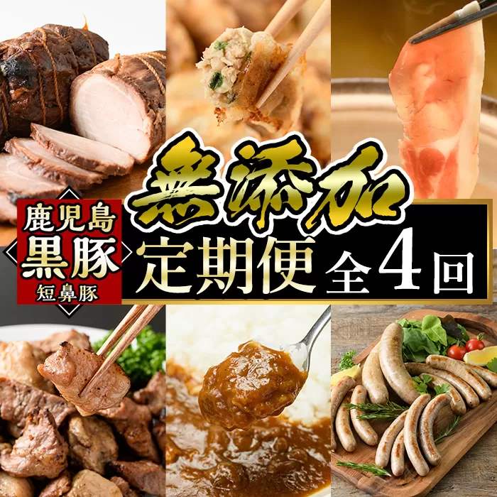 a126 鹿児島黒豚「短鼻豚」定期便(4ヶ月コース)豚肉しゃぶしゃぶ用・炭火焼肉・豚モモ肉、餃子、ハム・ソーセージなど詰め合わせた黒豚肉定期便【鹿児島ますや】