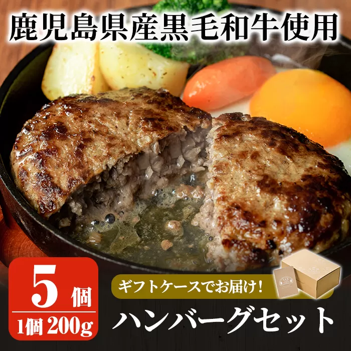 a750 鹿児島県産黒毛和牛ハンバーグセット(200g×5パック)【AKR Food Company】姶良市 国産 牛肉100% 冷凍 小分け