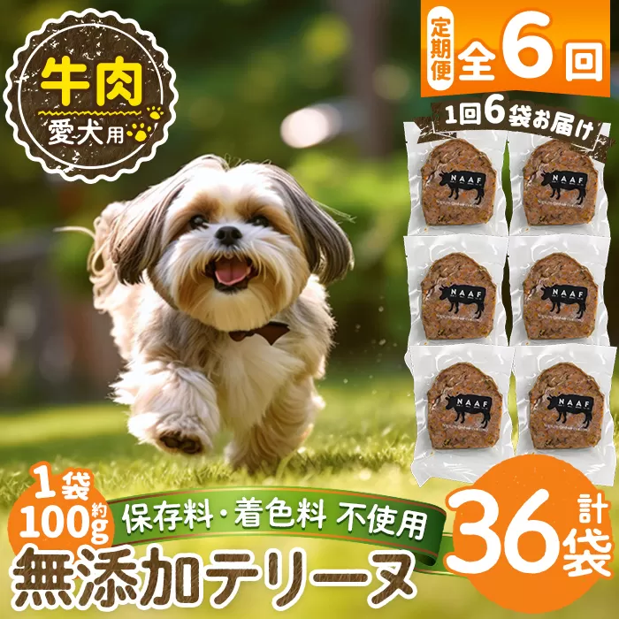 a1055-E 【6回定期便】＜保存料・着色料 不使用＞愛犬用無添加牛テリーヌ6袋×6回(1袋約100g・合計約3.6kg)【Nフードサービス】姶良市 牛 テリーヌ 犬 ドッグ ペット フード エサ おやつ ごはん ご飯 間食 ご褒美 ペット関係