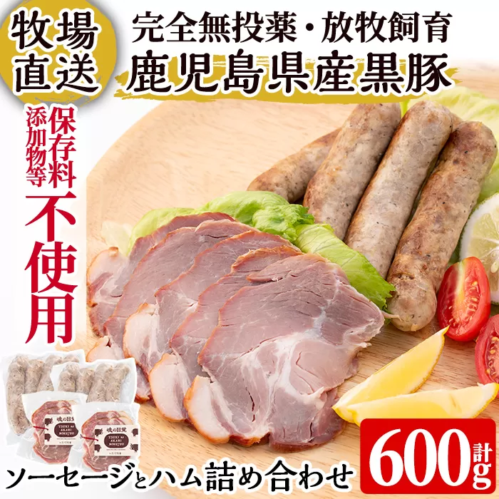 a829 月ノ灯牧場直送！保存料・添加物等不使用の鹿児島県産黒豚ソーセージとハム詰め合わせ合計600g(ソーセージ200g×2p・ハム100g×2p)【pig village company】