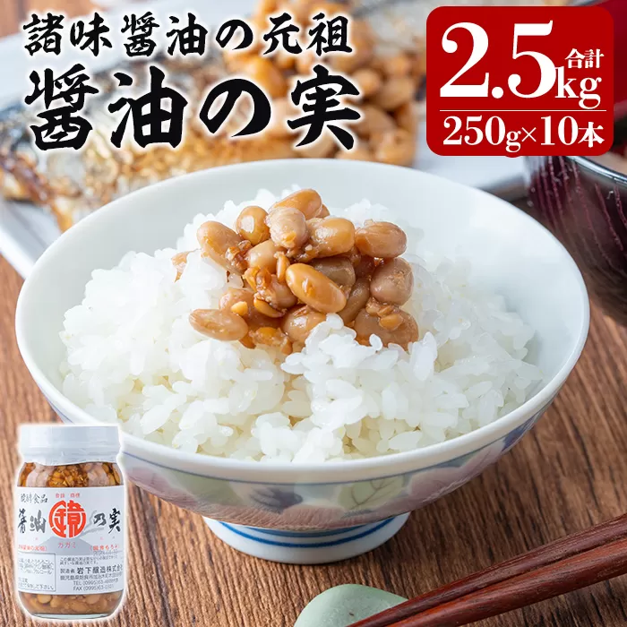 a756 醤油の実(2.5kg・250g×10本)【岩下醸造】姶良市 常温 瓶詰め