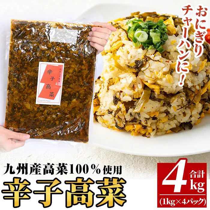 a568-B 九州産辛子高菜4kg(1kg×4パック)【九州新進】姶良市 国産 九州産 たかな 漬物 漬け物 ご飯のお供 おかず おつまみ おにぎり 常温 常温保存