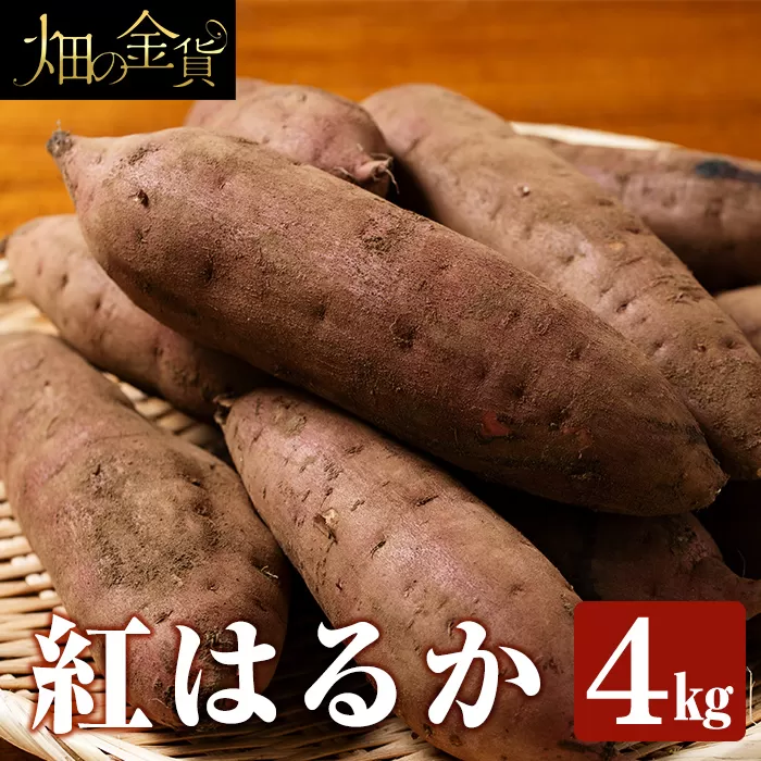 a174 [先行予約受付中!2025年12月中旬以降順次発送予定]畑の金貨・紅はるか4kg(生芋)[甘いも販売所]姶良市 国産 さつま芋 サツマイモ べにはるか 貯蔵 熟成 蜜芋 蜜いも さつまいも