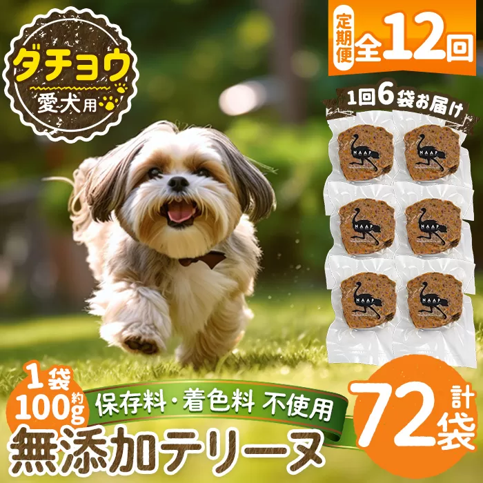 a1059-F 【12回定期便】<保存料・着色料 不使用>愛犬用無添加ダチョウテリーヌ6袋×12回(1袋約100g・合計約7.2kg)【Nフードサービス】姶良市 ダチョウ テリーヌ 犬 ドッグ ペット フード エサ おやつ ごはん ご飯 間食 ご褒美 ペット関係