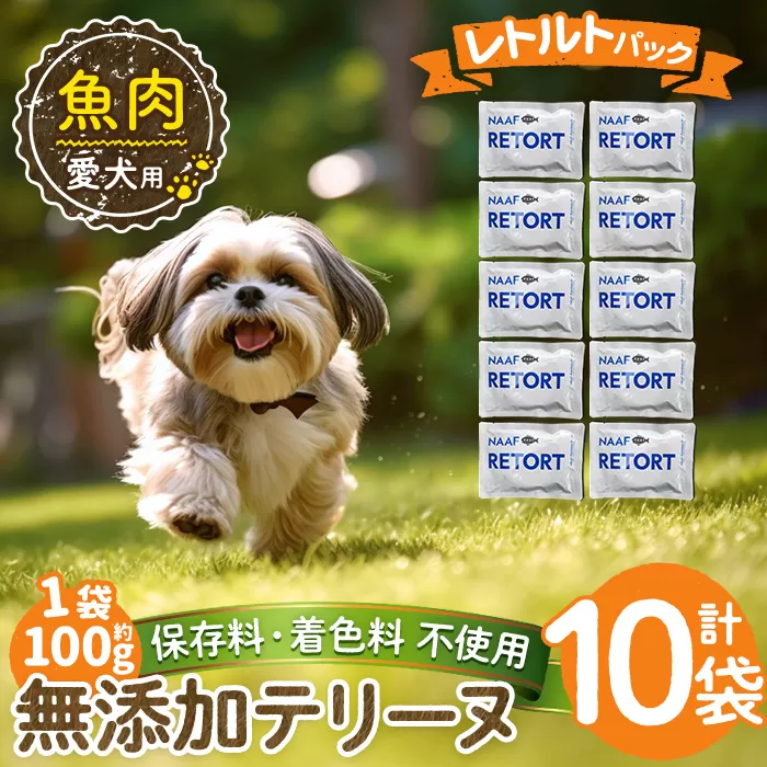 a1089-D ＜保存料・着色料 不使用＞愛犬用無添加テリーヌ レトルトパック 魚テリーヌ10袋(1袋約100g・合計約1kg)【Nフードサービス】姶良市 魚 テリーヌ 犬 ドッグ ペット フード エサ レトルト おやつ ごはん ご飯 間食 ご褒美