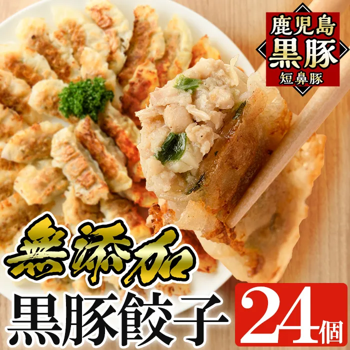 a1112 鹿児島黒豚「短鼻豚」無添加餃子 計24個(12個入×2パック)【鹿児島ますや】姶良市 国産 豚肉 野菜 ぎょうざ ギョーザ ギョウザ 惣菜 おかず 冷凍 安心