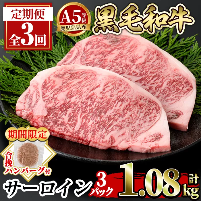 a853-E ＜期間限定！合挽ハンバーグ付＞【3回定期便】≪A5等級≫鹿児島県産黒毛和牛サーロイン2枚入り(3P計1.08kg) 【水迫畜産】姶良市 国産 牛肉 サーロインステーキ ステーキ ステーキ肉 和牛