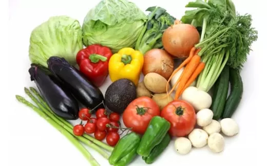 No.1017-1 季節の野菜の詰め合せ