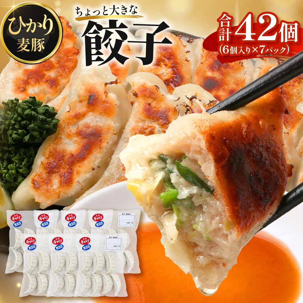 鹿児島県産 ひかり麦豚 \\ちょっと大きな 餃子 42個セット// HM-707 | ぎょうざ ギョウザ 食べ応え抜群 焼き餃子 水餃子 おかず お弁当 冷凍 トレー無し 産地直送 鹿児島県 南大隅町 ひかり麦豚直売所