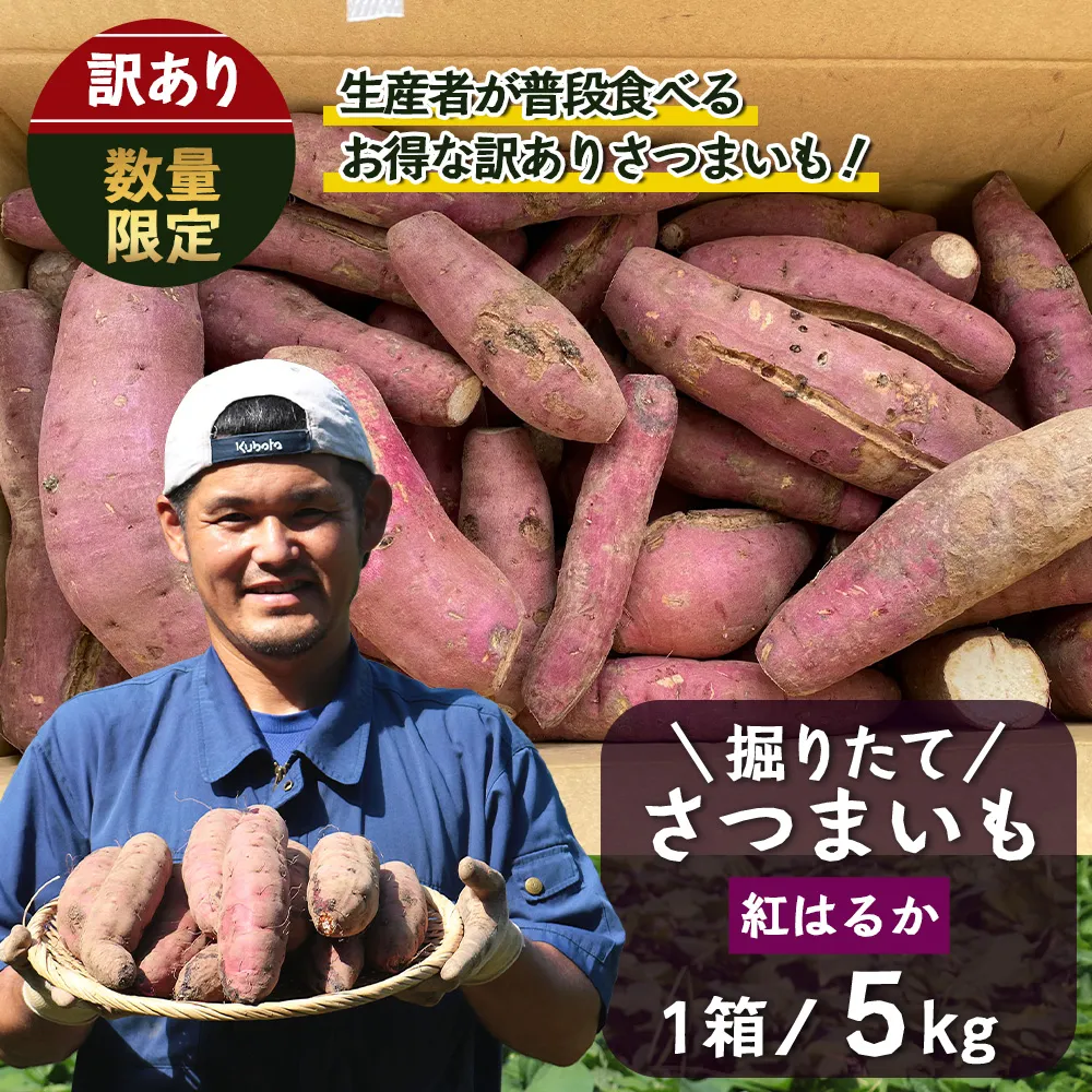 【訳あり！】【先行予約：9月中旬配送～】掘りたて さつまいも 紅はるか 5kg (自宅で簡単レシピ付き）FR-207 | 秋の味覚 2026年秋収穫 サイズランダム 家庭用 新物 さつまいも サツマイモ 感動サツマイモ 焼き芋 べにはるか 野菜 おやつ おかず お弁当 煮物 芋ごはん 味噌汁 産地直送 鹿児島県 南大隅町 株式会社フォレスト