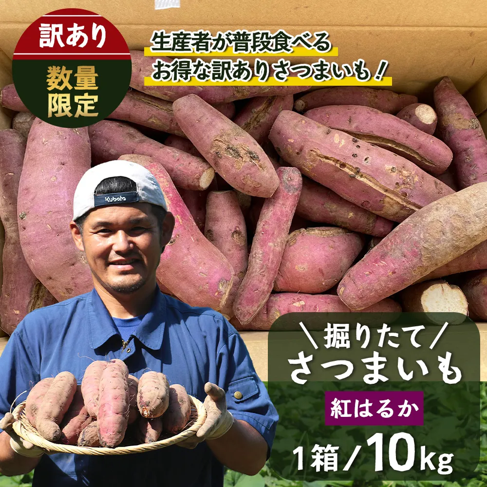 【訳あり！】【先行予約：9月中旬配送～】掘りたて さつまいも 紅はるか 10kg (自宅で簡単レシピ付き）FR-208 | 秋の味覚 2026年秋収穫 サイズランダム 家庭用 新物 さつまいも サツマイモ 感動サツマイモ 焼き芋 べにはるか 野菜 おやつ おかず お弁当 煮物 芋ごはん 味噌汁 産地直送 鹿児島県 南大隅町 株式会社フォレスト