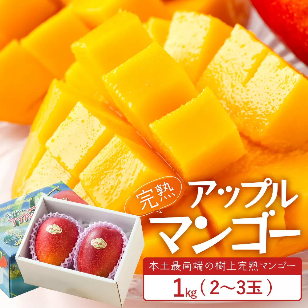 太陽をたっぷり浴び濃厚な甘さ!南国の香りが漂う【本土最南端南大隅町産マンゴー】 【先行予約】☆本土最南端☆佐多の果樹園で育てた 完熟アップルマンゴー 1kg (2~3玉) 【2026年7月上旬以降順次発送】 ST-407 |鹿児島県 南大隅町 産地直送 旬 マンゴー フルーツ 果物 くだもの アップル マンゴー 詰め合わせ セット 数量限定 第一佐多果樹園