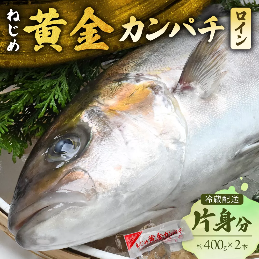[ねじめ黄金カンパチ]ロイン2本