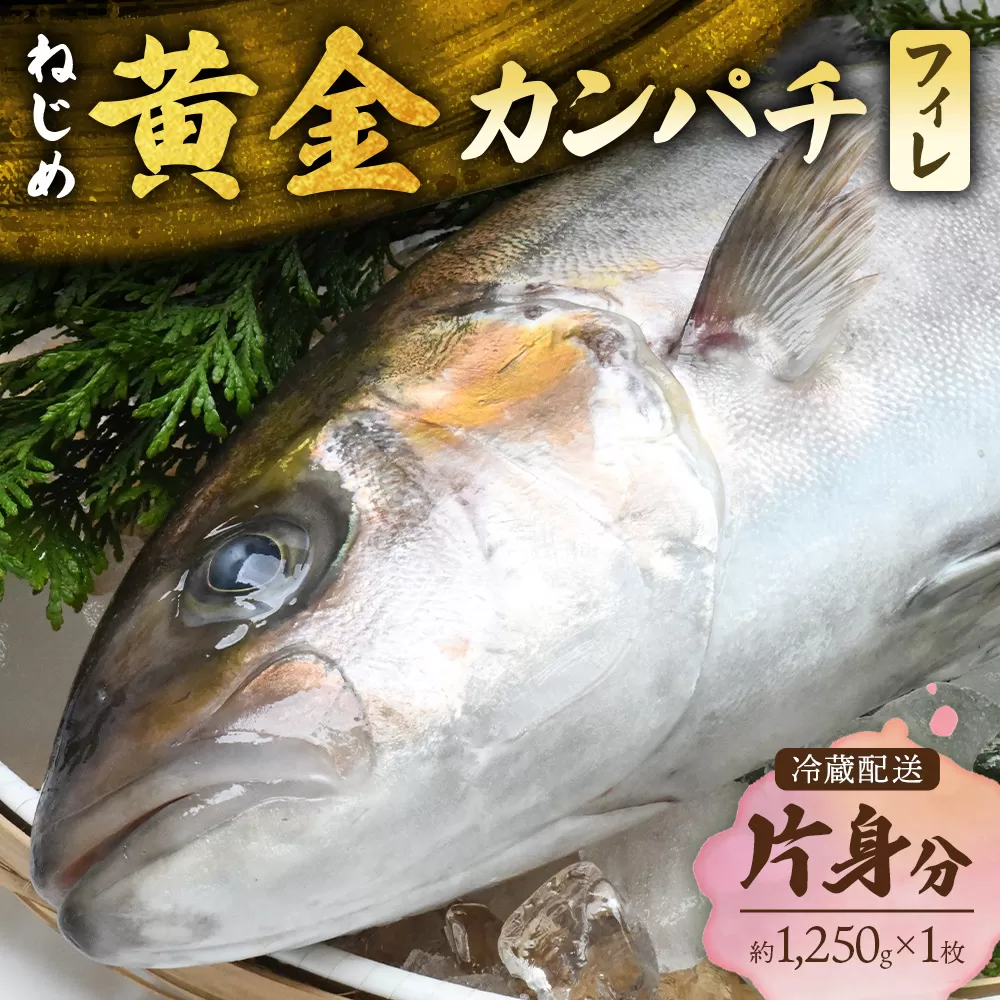 [ねじめ黄金カンパチ]フィレ1枚