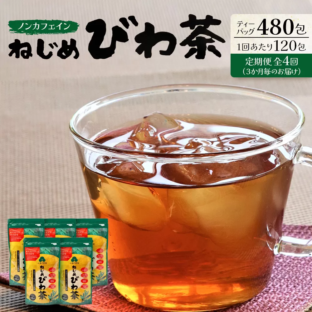 [定期便 全4回] ねじめびわ茶 合計480包 ≪ 1回あたり120包 (24包入×5袋) ≫ 3か月毎のお届け TO-522