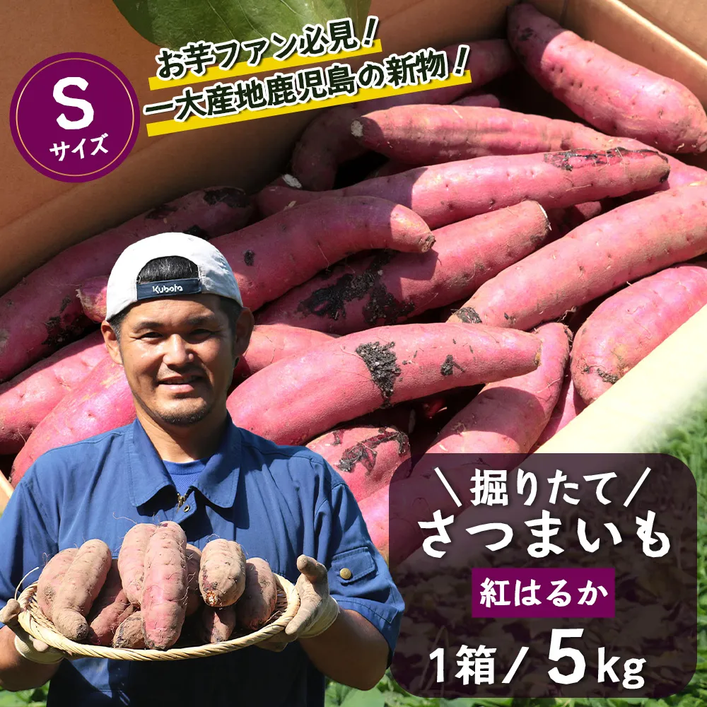 【期間限定！数量限定！】掘りたて さつまいも 紅はるか 5kg Sサイズ (おすそ分け袋／自宅で簡単レシピ付き）FR-202 | 秋の味覚 2026年秋収穫 新物 さつまいも サツマイモ 感動サツマイモ 焼き芋 べにはるか 小ぶり 野菜 おやつ おかず お弁当 煮物 芋ごはん 味噌汁 産地直送 鹿児島県 南大隅町 株式会社フォレスト