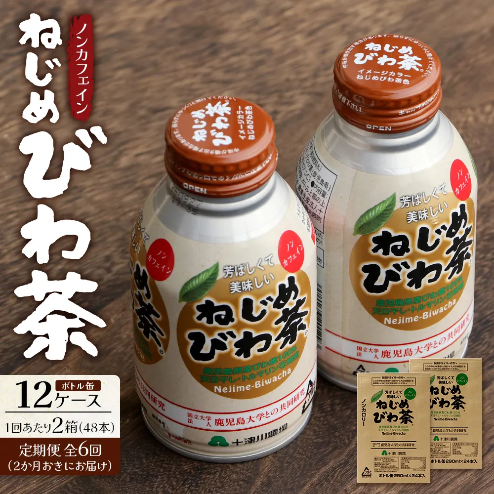 【定期便 12ヶ月全6回】 鹿児島県産 ねじめびわ茶 ボトル缶 12ケース ≪ 1回あたり48本 (24本入り×2箱) ≫ 2か月おきにお届け ノンカフェイン TO-525｜鹿児島県 南大隅町