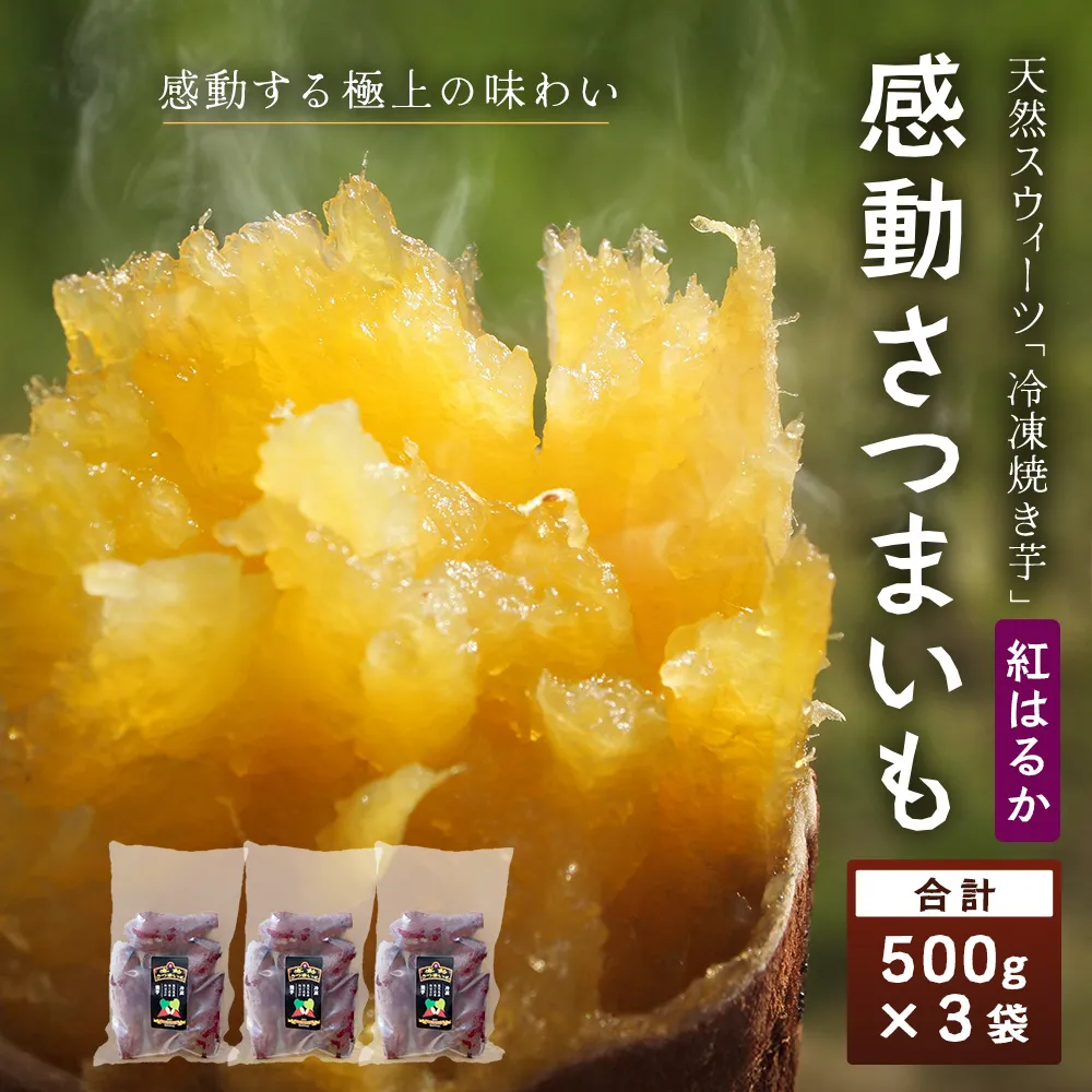 【冷凍焼芋】感動さつまいも 500g×3パック 熟成紅はるか FR-503 | サツマイモ 焼き芋 熟成芋 長期熟成 冷凍 スイーツ お菓子 甘い お中元 お歳暮 ギフト プレゼント 保存料不使用 鹿児島県 南大隅町 株式会社フォレスト