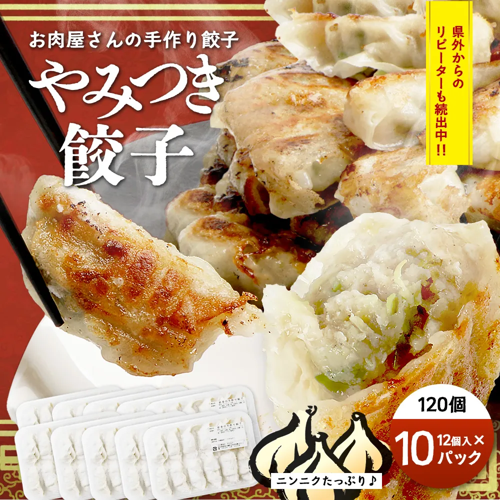 《リピーター続出!》佐多の田中肉屋 ニンニクたっぷりやみつき餃子 120個(12個入り×10パック) 餃子のタレ付き TA-402 | ぎょうざ 餃子 ギョウザ 豚肉 ひき肉 にんにく スタミナ餃子 焼くだけ 簡単 小分け 大容量 手作り お惣菜 おかず 冷凍 鹿児島県 南大隅町 田中精肉店