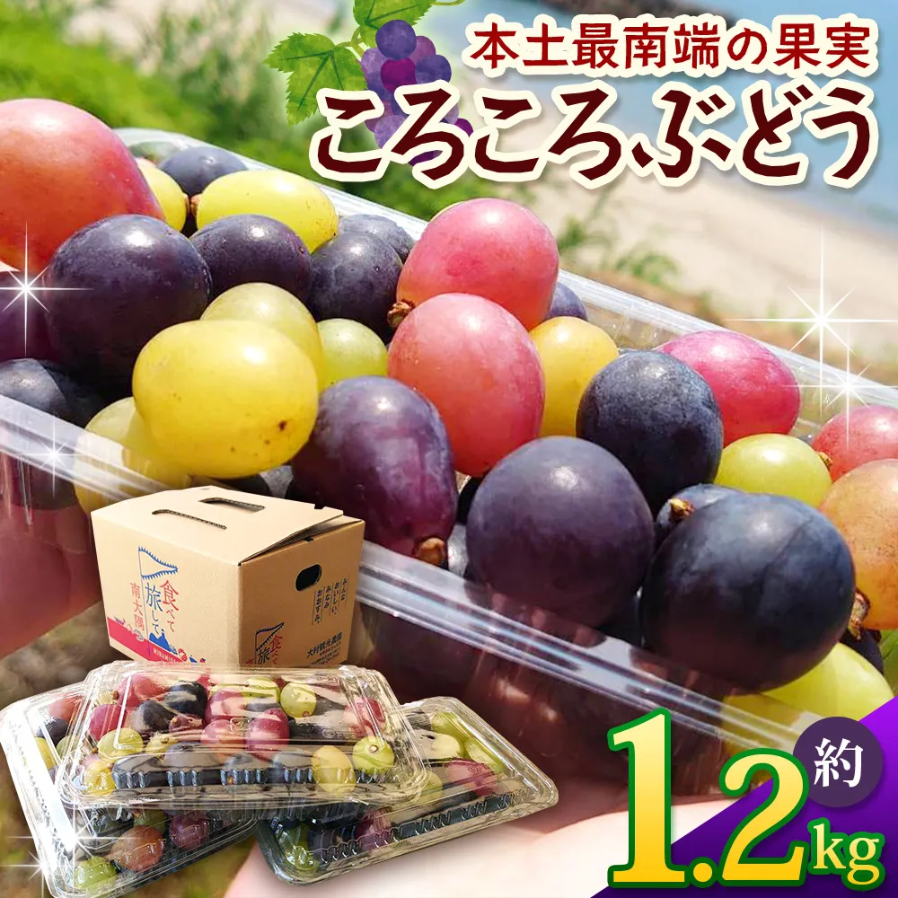 【ふるさと納税】【期間限定・数量限定】今が旬 ＜訳あり＞ 本土最南端ぶどう ころころぶどうパック 約1.2kg TE707｜ 家庭用 産地直送 旬 ブドウ 葡萄 ぶどう フルーツ 果物 くだもの 果実 食べ比べ 鹿児島県 南大隅町 有限会社ティエラ　