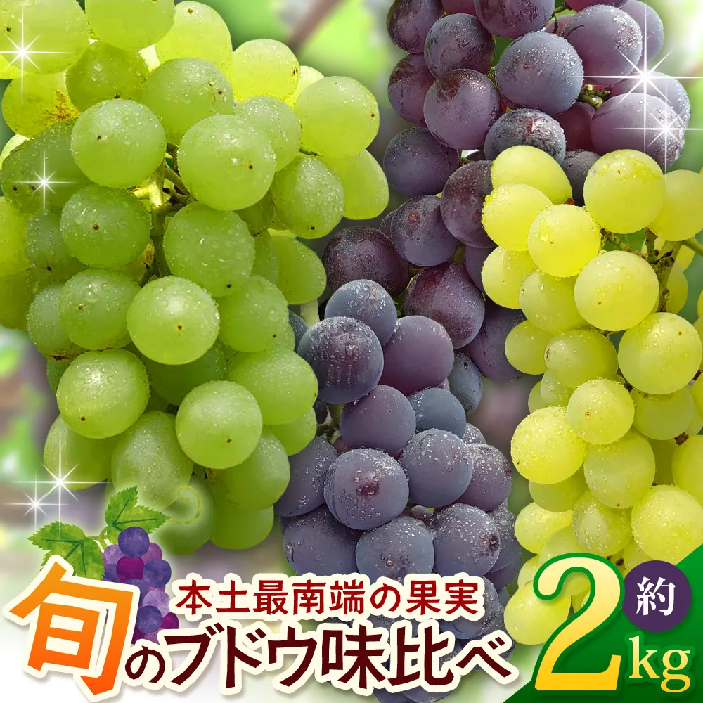 【期間限定・数量限定】今が旬!ブドウ味くらべ約2kg (5~6房) TE708|産地直送 旬 ブドウ 葡萄 ぶどう フルーツ 果物 くだもの 果実 食べ比べ 鹿児島県 南大隅町 有限会社ティエラ