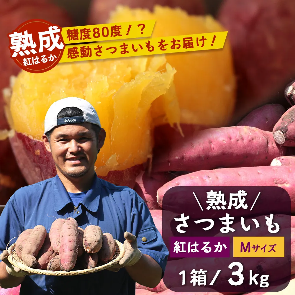 【先行予約：11月下旬配送〜】熟成 さつまいも 紅はるか 3kg Mサイズ (美味しい焼き芋の焼き方 説明書付き） FR-213 ｜ 秋の味覚 2026年秋収穫 貯蔵 長期熟成 糖化 さつまいも サツマイモ 感動サツマイモ 焼き芋 べにはるか 使いやすい 野菜 ねっとり 濃厚 おやつ おかず お弁当 煮物 芋ごはん 味噌汁 産地直送 鹿児島県 南大隅町 株式会社フォレスト