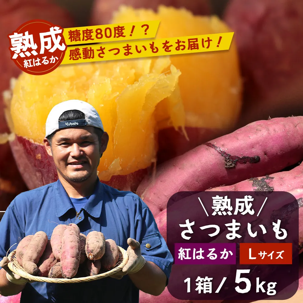 【先行予約：11月下旬配送〜】熟成 さつまいも 紅はるか 5kg Lサイズ (おすそ分け袋／美味しい焼き芋の焼き方 説明書付き） FR-216 ｜ 秋の味覚 2026年秋収穫 貯蔵 長期熟成 糖化 さつまいも サツマイモ 感動サツマイモ 焼き芋 べにはるか 大きめ 野菜 ねっとり 濃厚 おやつ おかず お弁当 煮物 芋ごはん 味噌汁 産地直送 鹿児島県 南大隅町 株式会社フォレスト