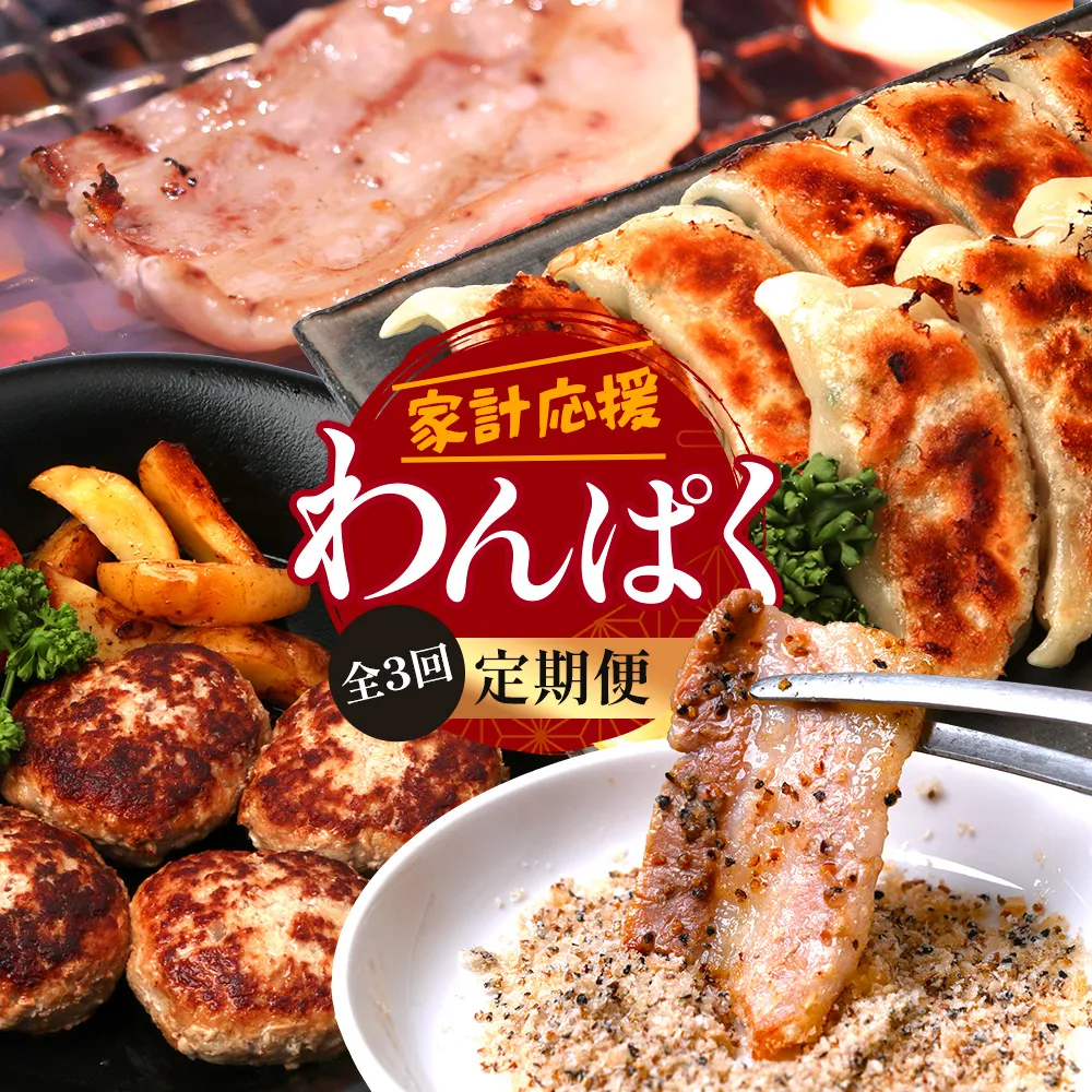 【定期便全3回】ひかり麦豚 わんぱく定期便 ≪月替わりで焼肉・ハンバーグ・餃子をお届け！≫ 冷凍 HM-10 | 肉 お肉 にく 豚肉 焼き肉 ロース肉 肩ロース バラ肉 ハンバーグ ギョウザ ぎょうざ 真空冷凍 産地直送 小分け パック 手作り 鹿児島県 南大隅町 ひかり麦豚直売所