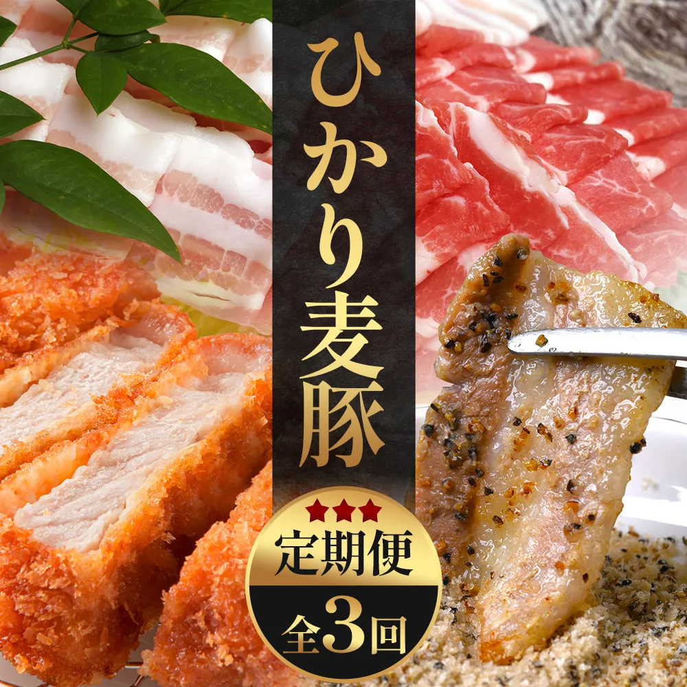 【定期便全3回】ひかり麦豚定期便 ≪月替わりで楽しむ豚肉セット!しゃぶしゃぶ・ロース肉・焼肉セットをお届け!≫ 冷凍 HM-18 | 肉 お肉 にく 豚肉 精肉 焼き肉 焼肉 やきにく バーベキュー ロース肉 肩ロース バラ肉 生姜焼き とんかつ しゃぶしゃぶ 真空冷凍 産地直送 小分け パック 手作り 鹿児島県 南大隅町 ひかり麦豚直売所