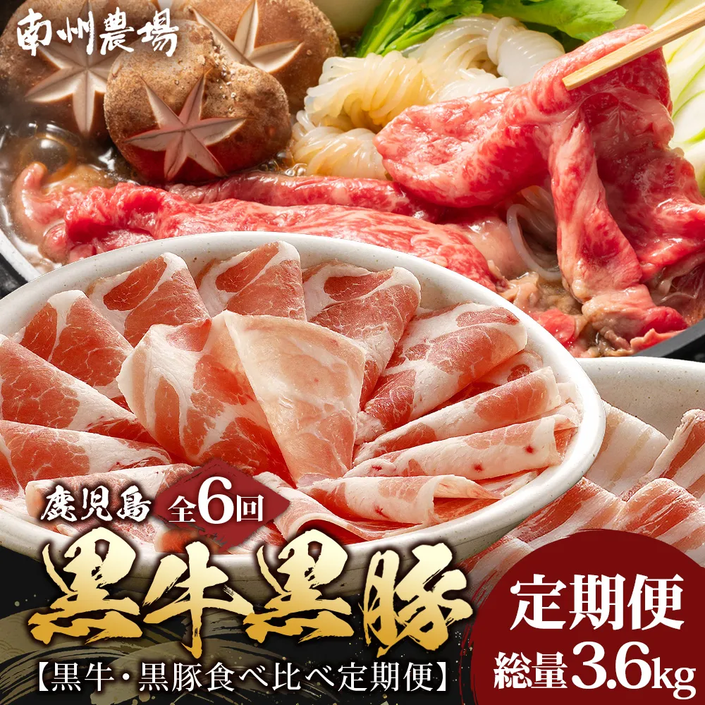 ≪全6回≫ 鹿児島県産 ◆ 黒牛＆黒豚食べ比べ 定期便◆  南州黒牛 かごしま黒豚 NS-28 | 牛 肉 お肉 ブランド牛 黒毛和牛 鹿児島黒豚 黒豚 豚肉 豚 ぶた肉 霜降り サシ ロース しゃぶしゃぶ すき焼き すきやき 甘い やわらかい 冷凍 産地直送 肉定期便 南大隅町