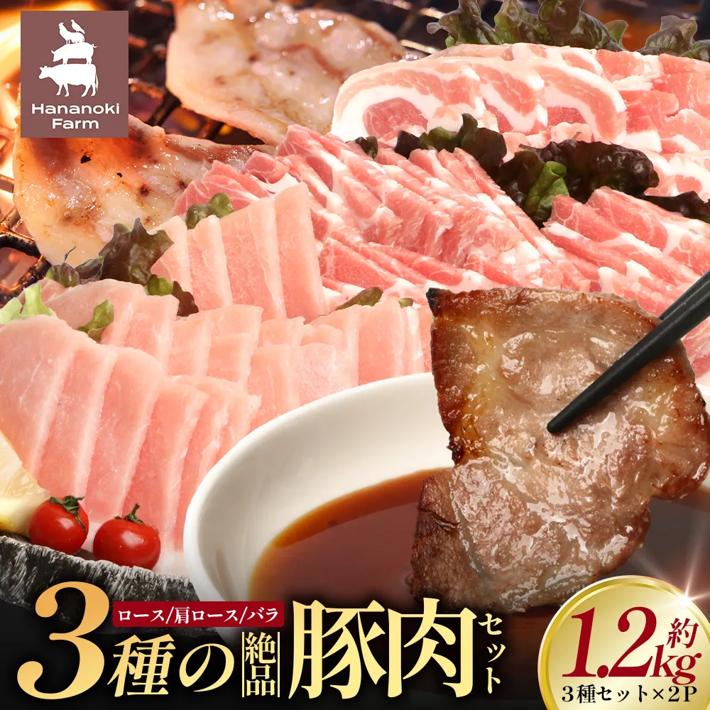 3種の絶品豚肉セット(ロース・肩ロース・豚バラ)約1,200g HK-29│ 豚 ぶた 肉 焼肉 食べ比べ 厳選 ロース 肩ロース 豚バラ 部位別 焼肉屋さん ギフト セット BBQ バーベキュー お弁当 国産 ノウフク 農福連携 鹿児島県 南大隅町 第2花の木ファーム