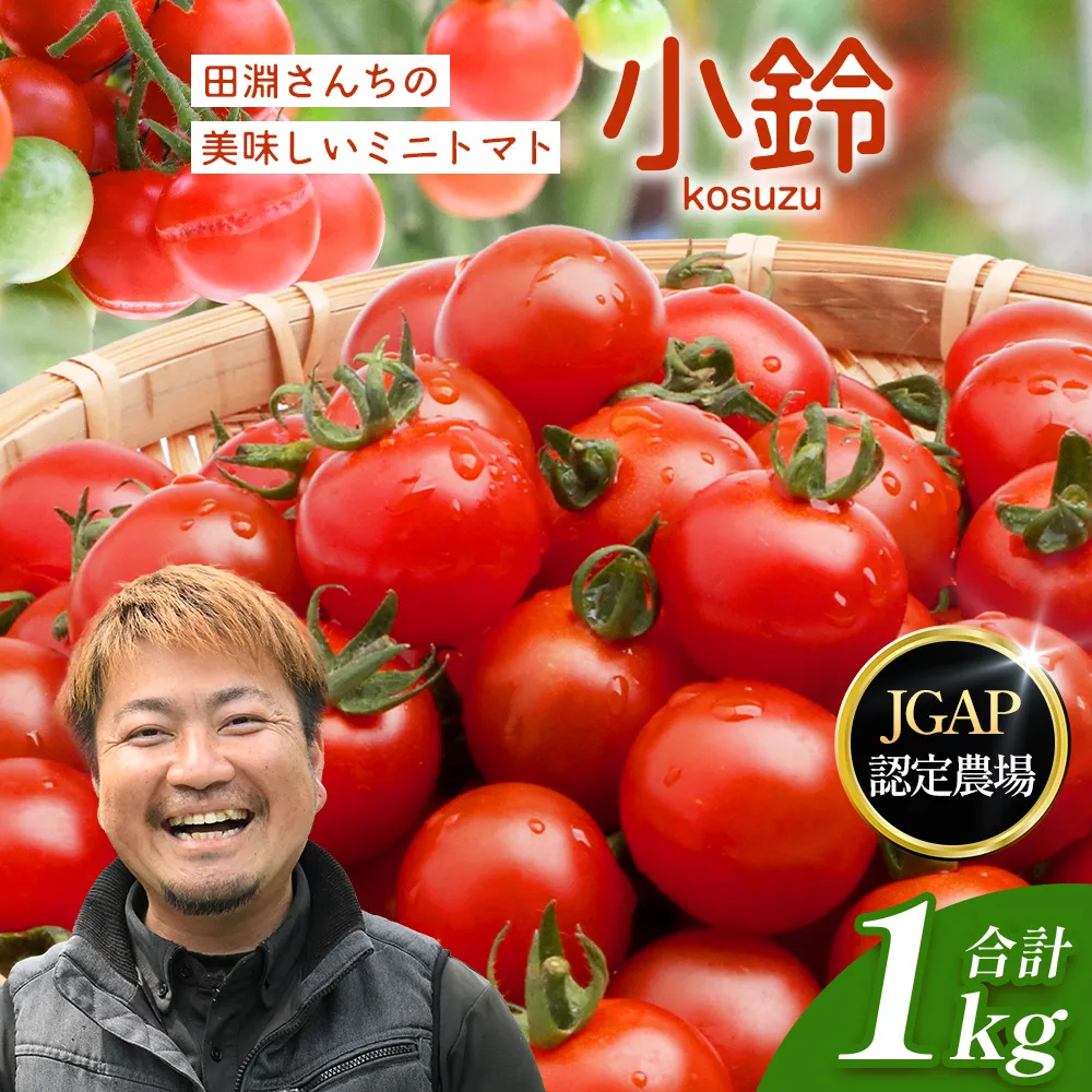 【先行予約・2026年12月より順次発送】田淵さんちの美味しい ミニトマト 小鈴(約1kg)GP-708|先行予約 野菜 トマト ミニトマト 産地直送 新鮮 おいしい お弁当 サラダ 南大隅町 鹿児島県 根占グリーンプラネット