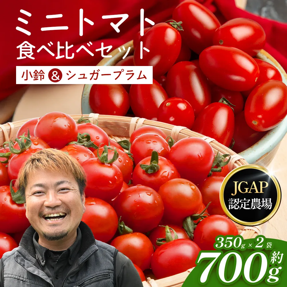 [数量限定]ミニトマト２種食べ比べセット(350g×２種) GP-3｜ミニトマト 野菜 やさい 食品 人気 おすすめ 美味しい 産地直送 小鈴 シュガープラム 食べ比べ セット