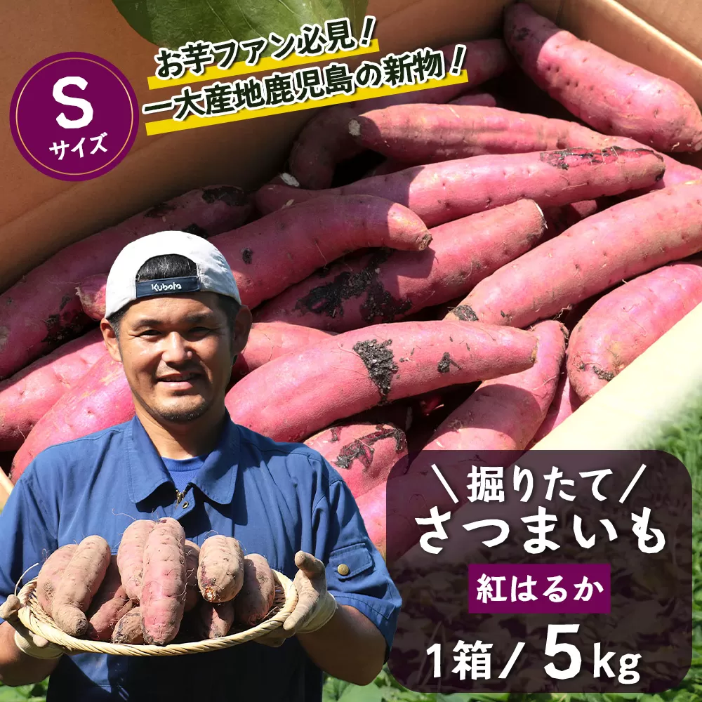 さつまいも 紅はるか 堀りたて 5kg ( 1箱 ) Sサイズ  新物 鹿児島県産【2025年9月中旬より順次発送】(FR-202)