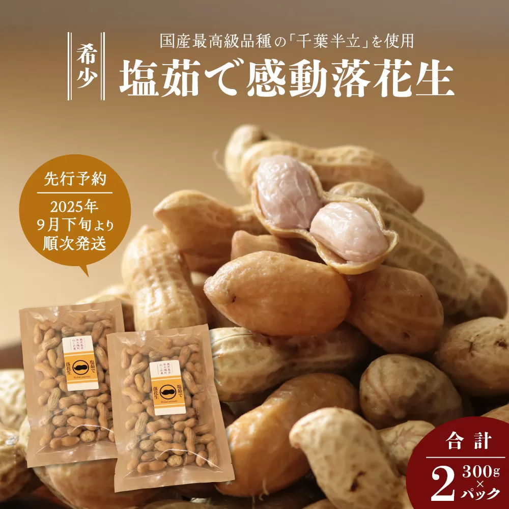 先行予約 国産 塩茹で落花生 300 g × 2 パック 2025年9月下旬より順次発送  FR-506
