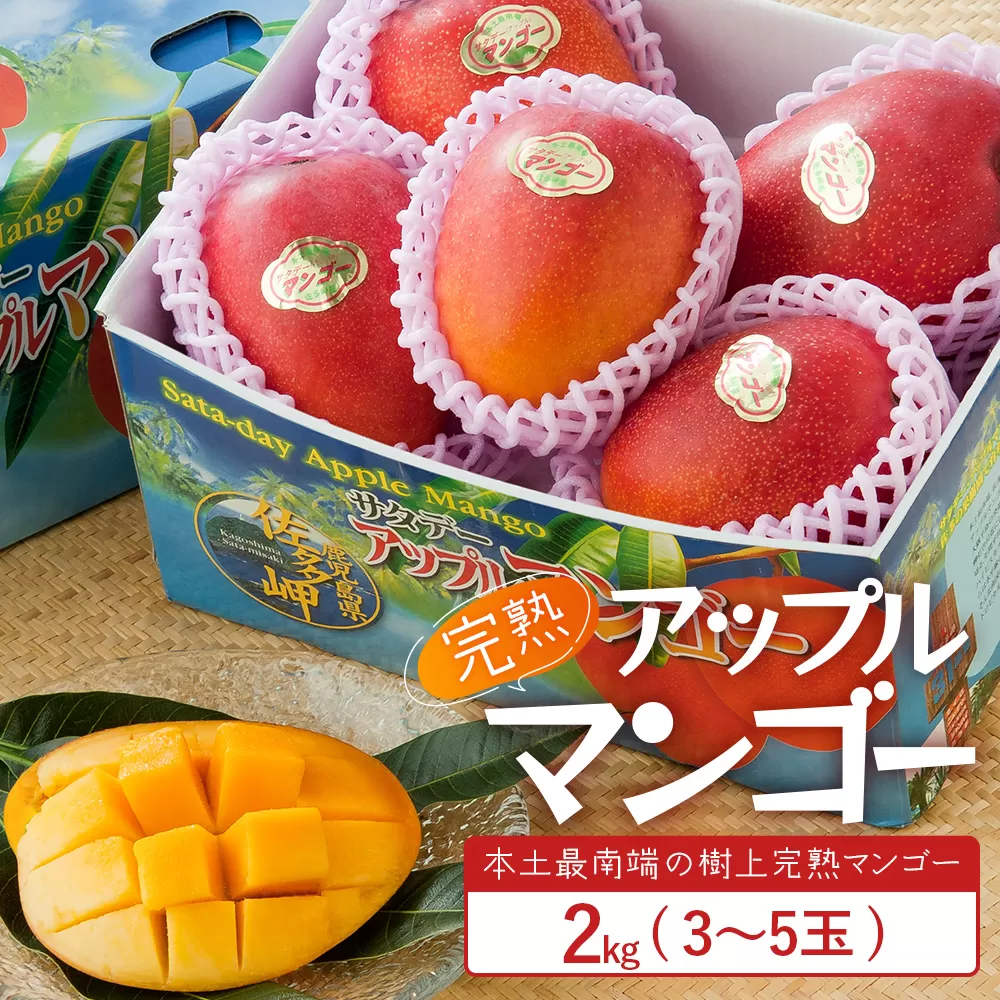 ≪先行予約・数量限定≫ ☆本土最南端☆佐多の果樹園で育てた 完熟アップルマンゴー 約2kg (3～5玉) 【2026年7月上旬以降順次発送】 ST-408 ｜鹿児島県 南大隅 産地直送 旬 マンゴー フルーツ 果物 くだもの
