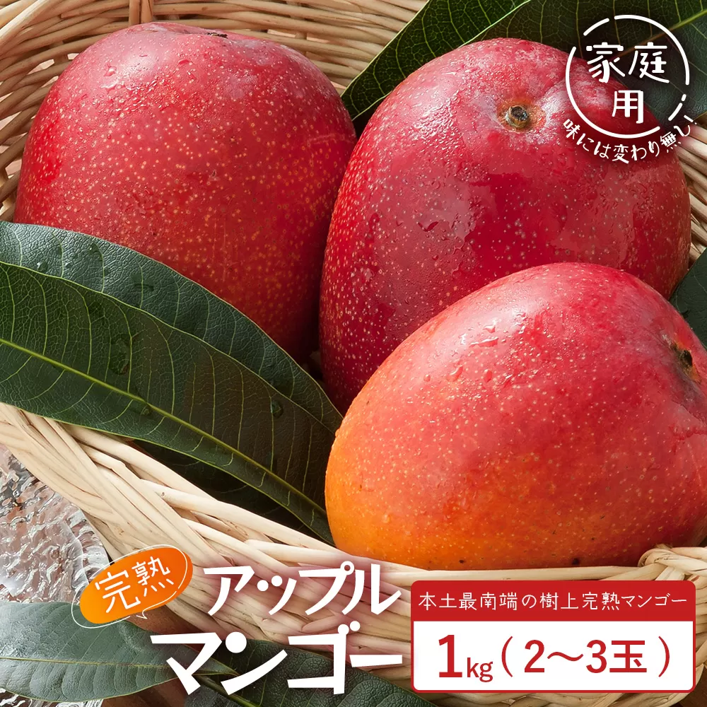 ≪先行予約・数量限定≫【訳あり】 ☆本土最南端☆佐多の果樹園で育てた 完熟アップルマンゴー約1kg (2～3玉) 家庭用【2026年7月上旬以降順次発送】 ST-409 ｜鹿児島県 南大隅 産地直送 旬 マンゴー フルーツ 果物 くだもの 