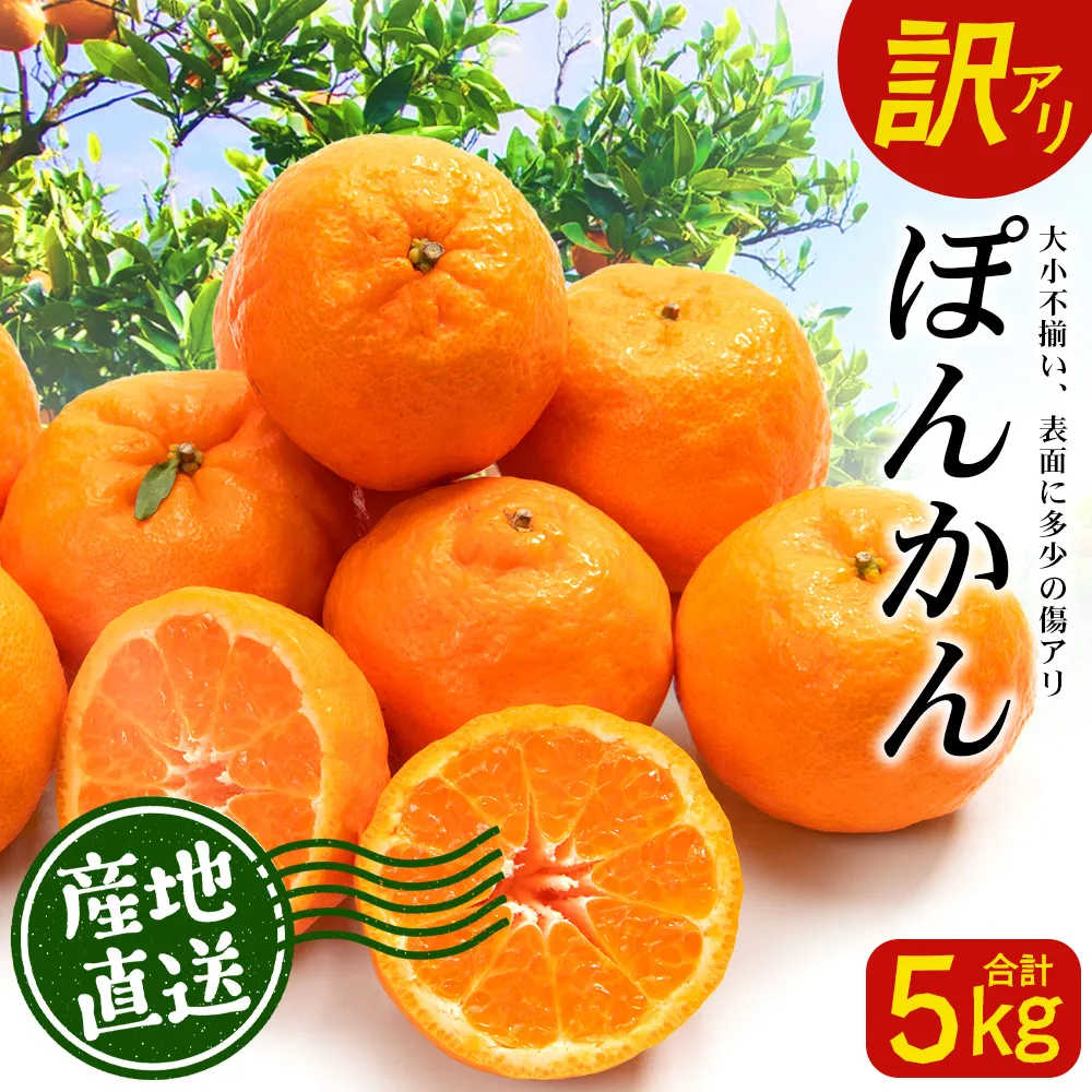【訳あり】※先行予約・数量限定※ 南大隅の太陽浴びた甘くて・おいしい ぽんかん 約5kg≪2027年1月中旬以降発送予定≫ ID-2｜訳あり 訳アリ ぽんかん ポンカン 柑橘 カンキツ 柑橘類 詰め合わせ 産地直送 おすすめ 人気 南大隅町