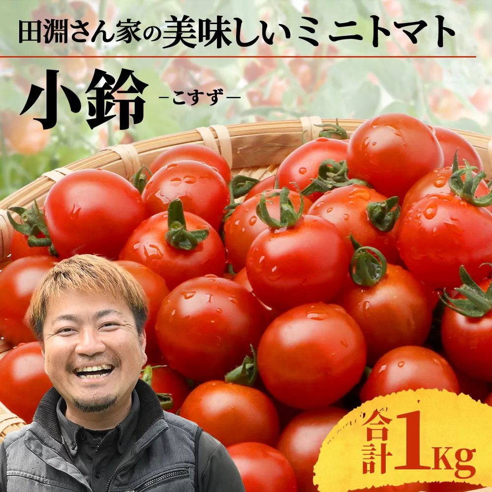 田淵さんちの美味しい ミニトマト 小鈴(約1kg)GP-708|野菜 トマト ミニトマト 産地直送 ミニトマト 新鮮 トマト 南大隅町産 ミニトマト おいしい ミニトマト