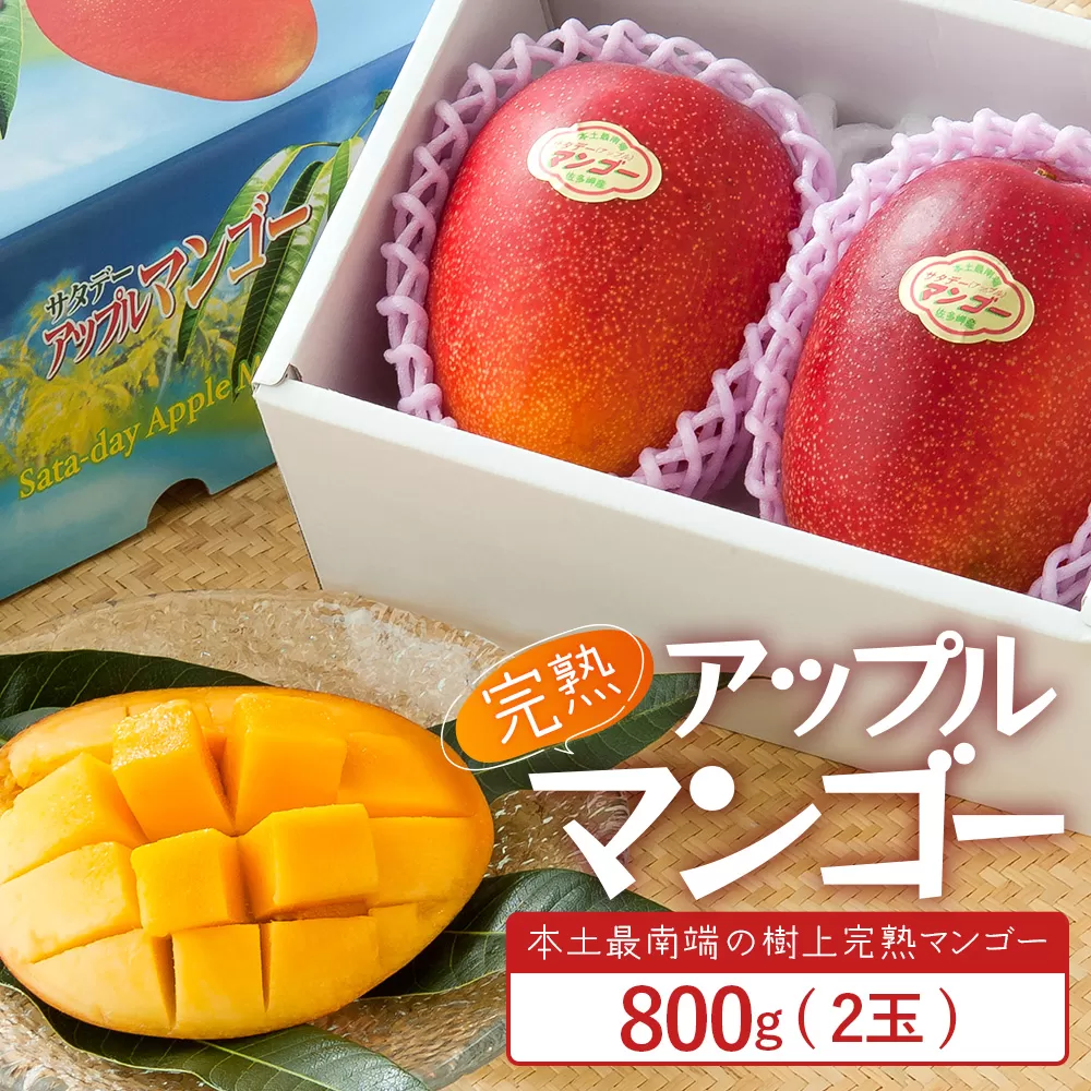 ≪先行予約・数量限定≫ ☆本土最南端☆佐多の果樹園で育てた 完熟アップルマンゴー 約800g ( 2玉 ) 【2026年7月上旬以降順次発送】 ST-406 ｜鹿児島県 南大隅 産地直送 旬 マンゴー フルーツ 果物 くだもの