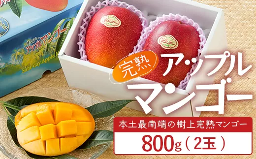 ≪先行予約・数量限定≫ ☆本土最南端☆佐多の果樹園で育てた 完熟アップルマンゴー 約800g ( 2玉 ) 【2026年7月上旬以降順次発送】 ST-406 ｜鹿児島県 南大隅 産地直送 旬 マンゴー フルーツ 果物 くだもの