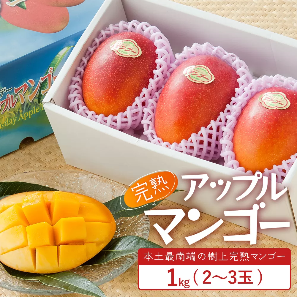 太陽をたっぷり浴び濃厚な甘さ！南国の香りが漂う【本土最南端南大隅町産マンゴー】 【先行予約】☆本土最南端☆佐多の果樹園で育てた 完熟アップルマンゴー 1kg (2～3玉) 【2026年7月上旬以降順次発送】 ST-407 ｜鹿児島県 南大隅町 産地直送 旬 マンゴー フルーツ 果物 くだもの アップル マンゴー 詰め合わせ セット 数量限定 第一佐多果樹園